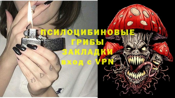 spice Лиски