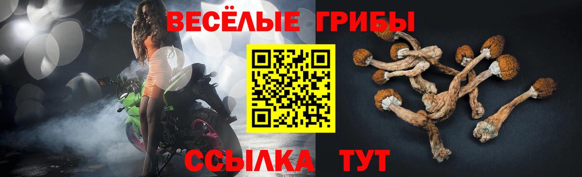 Янаул  Псилоцибиновые грибы Psilocybine cubensis  купить   Вход с VPN 